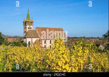 Chiesa di Saint-Georges de Châtenois, Châtenois, Sélestat, basso Reno, Grand Est, Alsazia-Champagne-Ardenne-Lorena, Francia Foto Stock