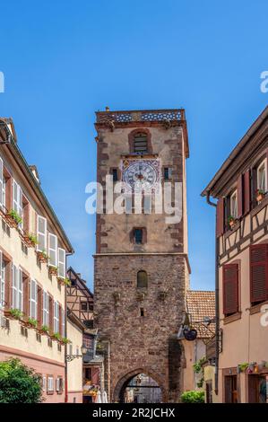 Tour des Bouchers, Grand Rue, Ribeauville, Rappoltsweiler, Alto Reno, Route des Vins d'Alsace, Alsace Wine Route, Grand Est, Alsace-Champagne-Ardenne- Foto Stock