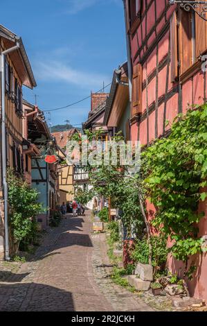 Vicolo in Eguisheim, Alto Reno, Route des Vins d'Alsace, Alsace Wine Route, Grand Est, Alsace-Champagne-Ardenne-Lorena, Francia Foto Stock