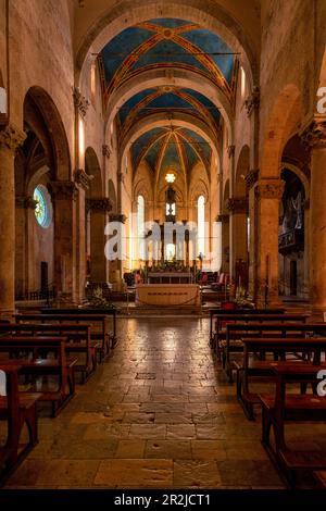 All'interno della Cattedrale di San Cerbone di massa Marittima, Provincia di Grosseto, Maremma, Toscana, Italia Foto Stock