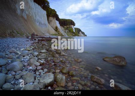 Alle scogliere di gesso sull'isola di Rügen. Foto Stock