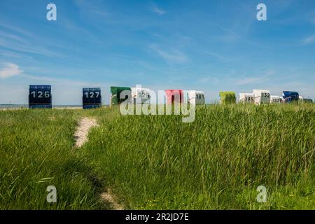 Sedie a sdraio sulla spiaggia sabbiosa, Hooksiel, Frisia orientale, bassa Sassonia, Mare del Nord, Germania Foto Stock