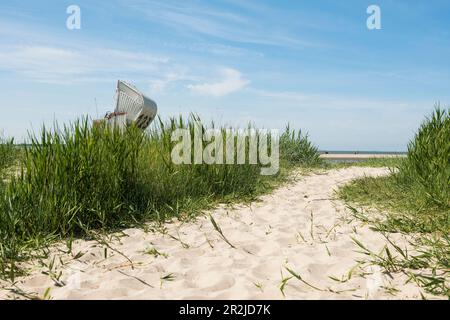 Sedie a sdraio sulla spiaggia sabbiosa, Hooksiel, Frisia orientale, bassa Sassonia, Mare del Nord, Germania Foto Stock