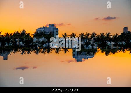 Doppia esposizione dei palmeti che costeggiano Miami Beach, Florida Foto Stock