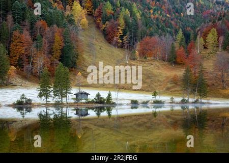 Hütte am Ferchensee, vicino a Mittenwald, Wetterstein, Baviera, Germania Foto Stock