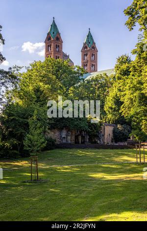 Cattedrale imperiale di Speyer, Renania-Palatinato, Germania Foto Stock