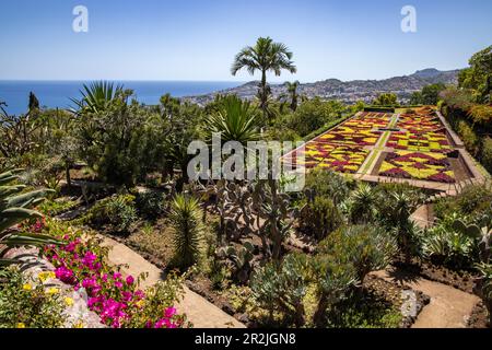 Vista sui Giardini Botanici di Madeira, Funchal, Madeira, Portogallo, Europa Foto Stock