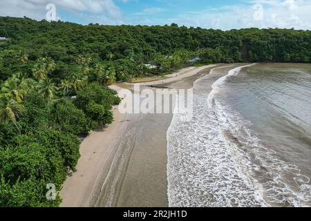 Veduta aerea di la Sagesse Beach, Saint David, Grenada, Caraibi Foto Stock