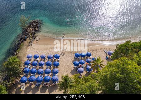 Vista aerea degli ombrelloni a Pigeon Island National Landmark, Gros Islet Quarter, St Lucia, Caraibi Foto Stock