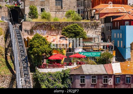 Case e giardini colorati e idilliacei su piani accanto alla ripida funicolare dos Guindais di Porto, Portogallo Foto Stock