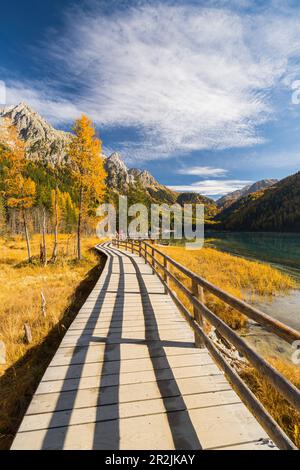 Ponte pedonale in legno sulla riva, Lago di Anterselva, Gruppo Riesenferner, Alto Adige, Italia Foto Stock