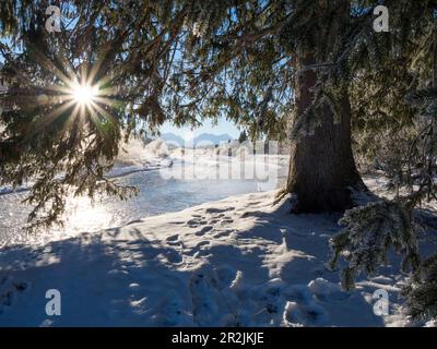 Isar tra Wallgau e Vorderriss in inverno, Karwendel, Alpi, alta Baviera, Germania Foto Stock