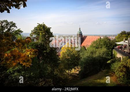 Vista dal Castello di Sonnenstein sul centro storico con Marienkirche, Pirna, Svizzera sassone, montagne di arenaria dell'Elba, Sassonia, Elba, Germania, Foto Stock