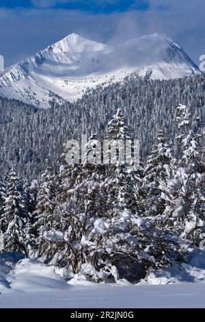 Inverno nelle montagne vicino Mittenwald, Baviera, Germania. Foto Stock