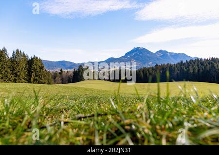 Foresta, prato e panorama montano con Breitenstein e Schweinsberg dal sentiero escursionistico Leitzachtaler Bergblicke vicino Fischbachau in alta Bavar Foto Stock