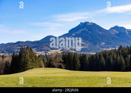 Foresta, prato e panorama montano con Breitenstein e Schweinsberg dal sentiero escursionistico Leitzachtaler Bergblicke vicino Fischbachau in alta Bavar Foto Stock