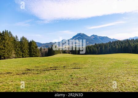 Foresta, prato e panorama montano con Breitenstein e Schweinsberg dal sentiero escursionistico Leitzachtaler Bergblicke vicino Fischbachau in alta Bavar Foto Stock