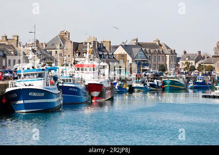 Vista del piccolo porto di Saint Vaast la Hougue Normandia Foto Stock