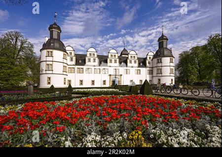 Neuhaus Castello in primavera, Paderborn, Renania settentrionale-Vestfalia, Germania Foto Stock