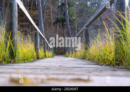 Riserva naturale; distretto del lago di Eggstätt-Hemhofer; ponte pedonale di legno su Hartsee Foto Stock