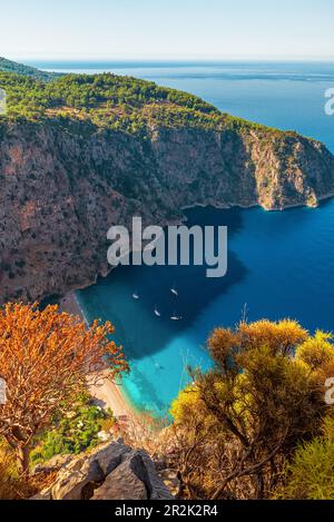 Vista aerea della Valle delle Farfalle o della spiaggia di Kelebekler Vadisi vicino alla città di Oludeniz o Fethiye, Mugla, Turchia nella mattina di sole. Orientamento verticale Foto Stock