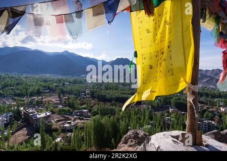 Panorama su Leh e la valle Indus fino all'Himalaya indiana, Ladakh, Jammu e Kashmir, India, Asia Foto Stock
