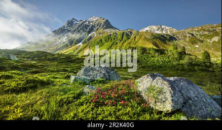 Kleine Lobspitze, Silvretta Group, Bielerhöhe, Vorarlberg, Austria Foto Stock