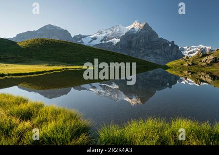 Wetterhorn a Hornseewli, Grosse Scheideck, Grindelwald, Oberland Bernese, Svizzera Foto Stock