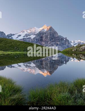 Wetterhorn a Hornseewli, Grosse Scheideck, Grindelwald, Oberland Bernese, Svizzera Foto Stock