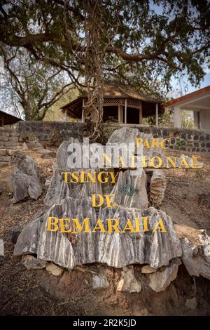 Centro Parco Nazionale, Parco Nazionale Tsingy de Bemaraha, Madagascar, Provincia di Mahajanga, Africa, Patrimonio Mondiale dell'UNESCO Foto Stock