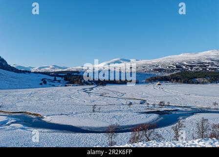 Guardando verso il Linn di Quoich e il meandro fiume Dee vicino alla città altopiano di Braemar in una giornata di inverni nel mese di febbraio. Foto Stock