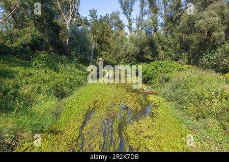 Rott, idillio del fiume sulla locanda Cycle Path vicino Neuhaus am Inn Foto Stock