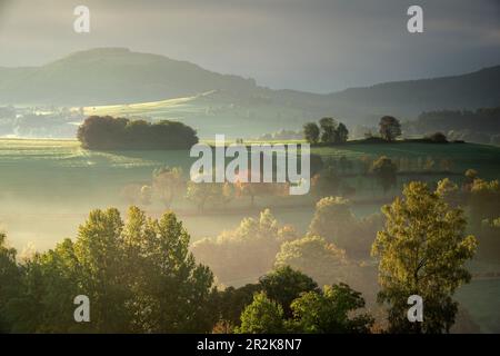 Umore del mattino con nebbia nel Rhoen, Maiersbach, Gersfeld, Assia, Germania, Europa Foto Stock