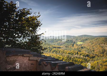 Vista dal Wartburg alla foresta autunnale del Rhoen, Eisenach, Turingia, Germania, Europa Foto Stock