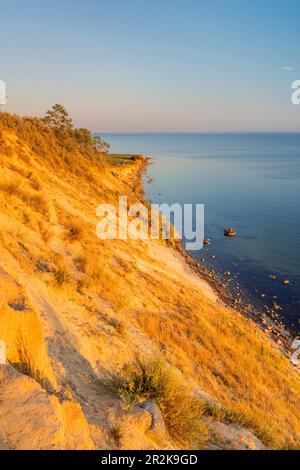 Ripida costa a Bodden di fronte a Klein Zicker, Isola di Ruegen, Meclemburgo-Pomerania occidentale, Germania Foto Stock