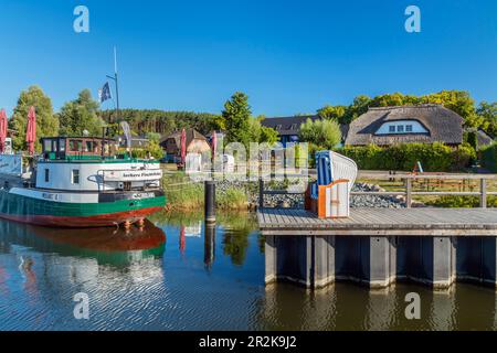 Porto nel Mar Baltico località di Sellin, Ostseebad Sellin, Isola di Rügen, Meclemburgo-Pomerania occidentale, Germania Foto Stock