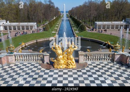 PETRODVORETS, RUSSIA - 11 MAGGIO 2023: Vista sul canale del Mare e sculture di Tritoni dalla terrazza del Grand Palace in un giorno di sole maggio. Palazzo A. Foto Stock