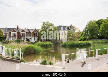 Case e proprietà che circondano Kew Green, Kew, Londra, Inghilterra, Regno Unito, Foto Stock