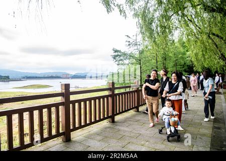 (230520) -- CHONGQING, 20 maggio 2023 (Xinhua) -- i turisti visitano l'area panoramica del Lago Changshou nel quartiere Changshou di Chongqing del sud-ovest della Cina, 16 maggio 2023. Situato nel quartiere Changshou di Chongqing, nella Cina sudoccidentale, il lago Changshou è il più grande lago artificiale della Cina sudoccidentale ed è ricco di risorse naturali. Più di 20 anni fa, il lago Changshou ha assistito a un netto deterioramento dell'ecologia a causa della disordinata coltivazione dell'acquacoltura. Oggi, il lago ha assunto un nuovo aspetto grazie agli sforzi di restauro ecologico. Utilizzando i suoi vantaggi ecologici, le strutture turistiche come un Foto Stock