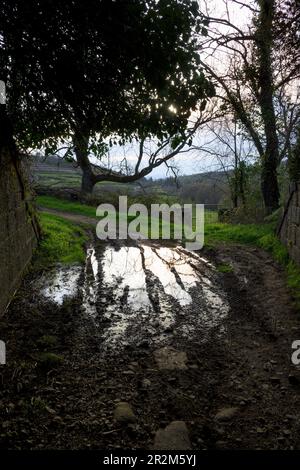 Pozza d'acqua al centro della strada quando si lascia il tunnel dopo la pioggia in verticale Foto Stock