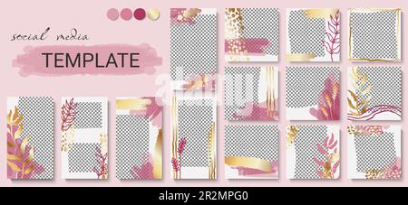 Modello di social media. Telai per montanti Instagram, design oro e piante per storia e post, motivo a balestra verticale per banner, layout con collage fotografico. Tran Illustrazione Vettoriale