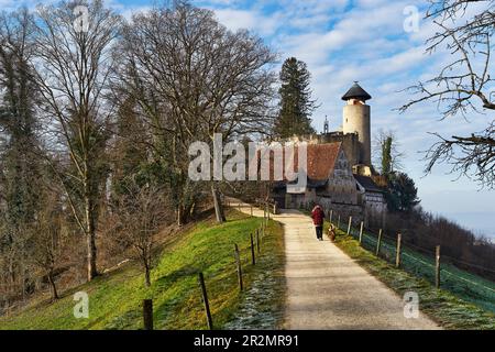 Birseck Castello sopra Arlesheim nel mese di marzo. Svizzera Foto Stock