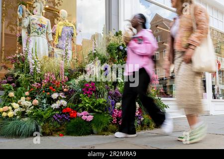 Londra, Regno Unito. 20 maggio 2020. La gente passa un'installazione che fa parte di Chelsea in Bloom, una mostra d'arte floreale che trasforma le strade di Chelsea dal 22 al 28 maggio con esposizioni fatte di fiori. Quest’anno, il tema è “Fiori sul film”, ispirandosi ai personaggi e alle storie che hanno abbellito il grande schermo. L'evento annuale è prodotto da Cadogan in associazione con la Royal Horticultural Society (RHS) e coincide con l'annuale RHS Chelsea Flower Show. Credit: Stephen Chung / Alamy Live News Foto Stock