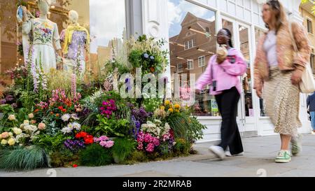 Londra, Regno Unito. 20 maggio 2020. La gente passa un'installazione che fa parte di Chelsea in Bloom, una mostra d'arte floreale che trasforma le strade di Chelsea dal 22 al 28 maggio con esposizioni fatte di fiori. Quest’anno, il tema è “Fiori sul film”, ispirandosi ai personaggi e alle storie che hanno abbellito il grande schermo. L'evento annuale è prodotto da Cadogan in associazione con la Royal Horticultural Society (RHS) e coincide con l'annuale RHS Chelsea Flower Show. Credit: Stephen Chung / Alamy Live News Foto Stock