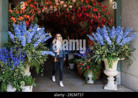 Londra, Regno Unito. 20 maggio 2020. Un tunnel floreale vicino a Duke of York Square fa parte di Chelsea in Bloom, una mostra d'arte floreale che trasforma le strade di Chelsea dal 22 al 28 maggio con mostre di fiori. Quest’anno, il tema è “Fiori sul film”, ispirandosi ai personaggi e alle storie che hanno abbellito il grande schermo. L'evento annuale è prodotto da Cadogan in associazione con la Royal Horticultural Society (RHS) e coincide con l'annuale RHS Chelsea Flower Show. Credit: Stephen Chung / Alamy Live News Foto Stock