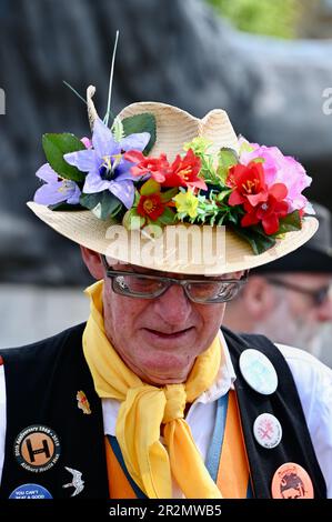 Londra, Regno Unito. Westminster Morris, e gli ospiti hanno partecipato ad una giornata di danza che consisteva in un tour del quartiere di Westminster che includeva uno spettacolo a Trafalgar Square. Credit: michael melia/Alamy Live News Foto Stock