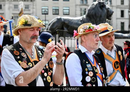 Londra, Regno Unito. Westminster Morris, e gli ospiti hanno partecipato ad una giornata di danza che consisteva in un tour del quartiere di Westminster che includeva uno spettacolo a Trafalgar Square. Credit: michael melia/Alamy Live News Foto Stock