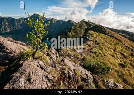 Campo sul bordo del Cratere Senaru sul Monte Rinjani, Lombok, Indonesia Foto Stock
