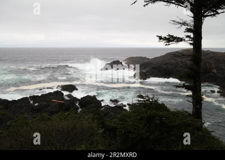 L'Amphitrite Point è un parco roccioso con sentieri per passeggiate, un faro e panorami panoramici situati appena a sud di Ucluelet, Vancouver Island, B.C. Foto Stock