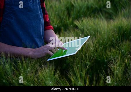 Uomo che usa il tablet sul campo. Il futuro dell'agricoltura: Il nuovo volto dell'agricoltura efficiente gestita dai tablet Foto Stock